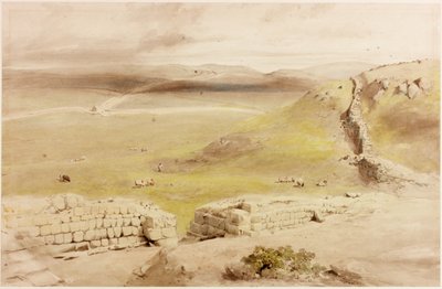 Cawfields by Henry Burdon Richardson